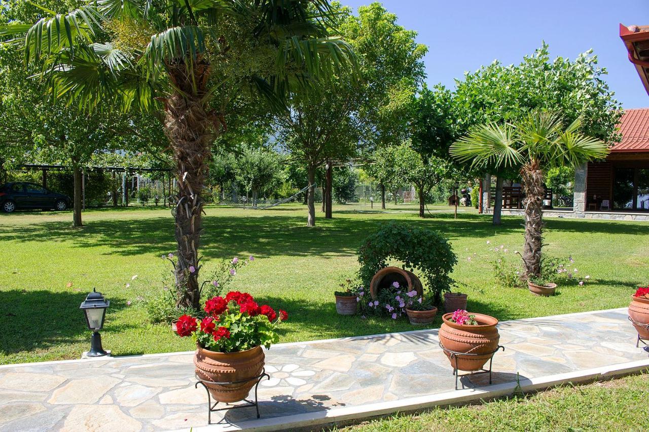 Giorgio Home - Amazing House 3Bd - 400M By The Sea Paralía Skotínis Exteriör bild